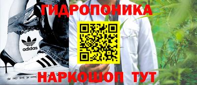 прущие крисы Волгодонск