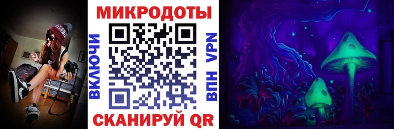 где купить наркоту  Кемерово  Галлюциногенные грибы Psilocybe 