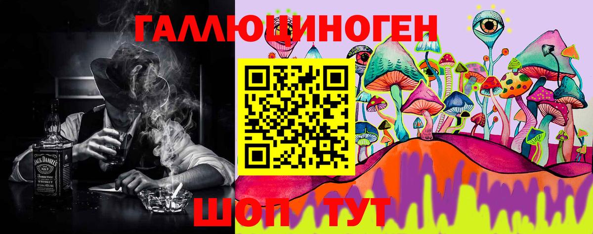 Псилоцибиновые грибы прущие грибы  Кемерово  наркошоп  Галлюциногенные грибы GOLDEN TEACHER 