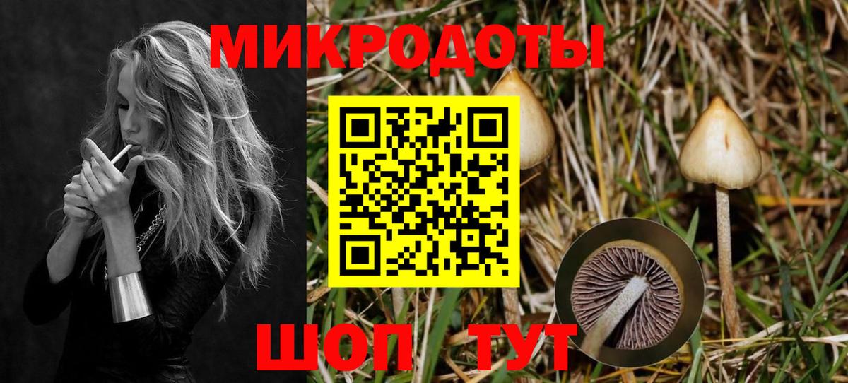 Псилоцибиновые грибы прущие грибы Кемерово