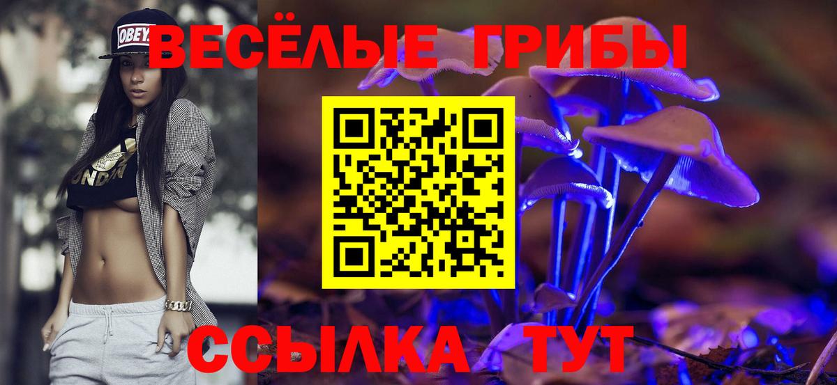 Псилоцибиновые грибы ЛСД Кемерово