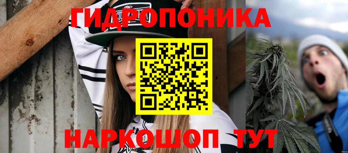 Каннабис планчик  Бошки марихуана OG Kush  Канабис Ganja  Кемерово  МАРИХУАНА гибрид 